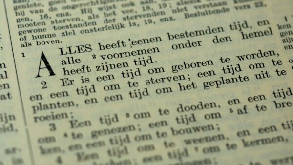 Dienst 8 november
